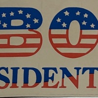 Nobody for President Bumper Sticker
